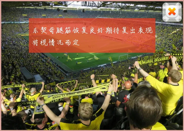 东契奇腿筋恢复良好期待复出表现将视情况而定